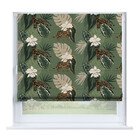 В тропическом лесу